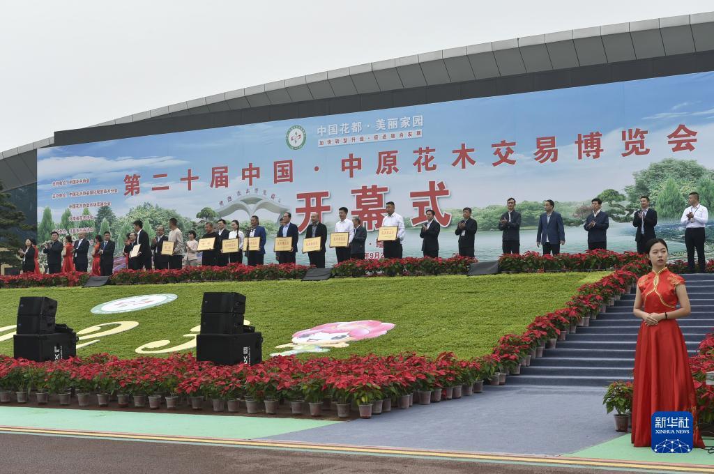 百人森林舞会